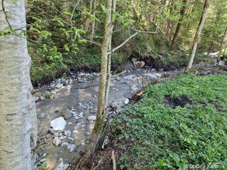 Sanacijska obnova vodotokov in hudournikov po poplavah (1)